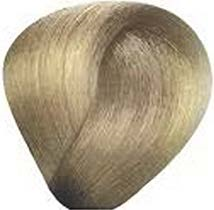 BES Regal Zero No Ammonia Permanent Color Special Blonds